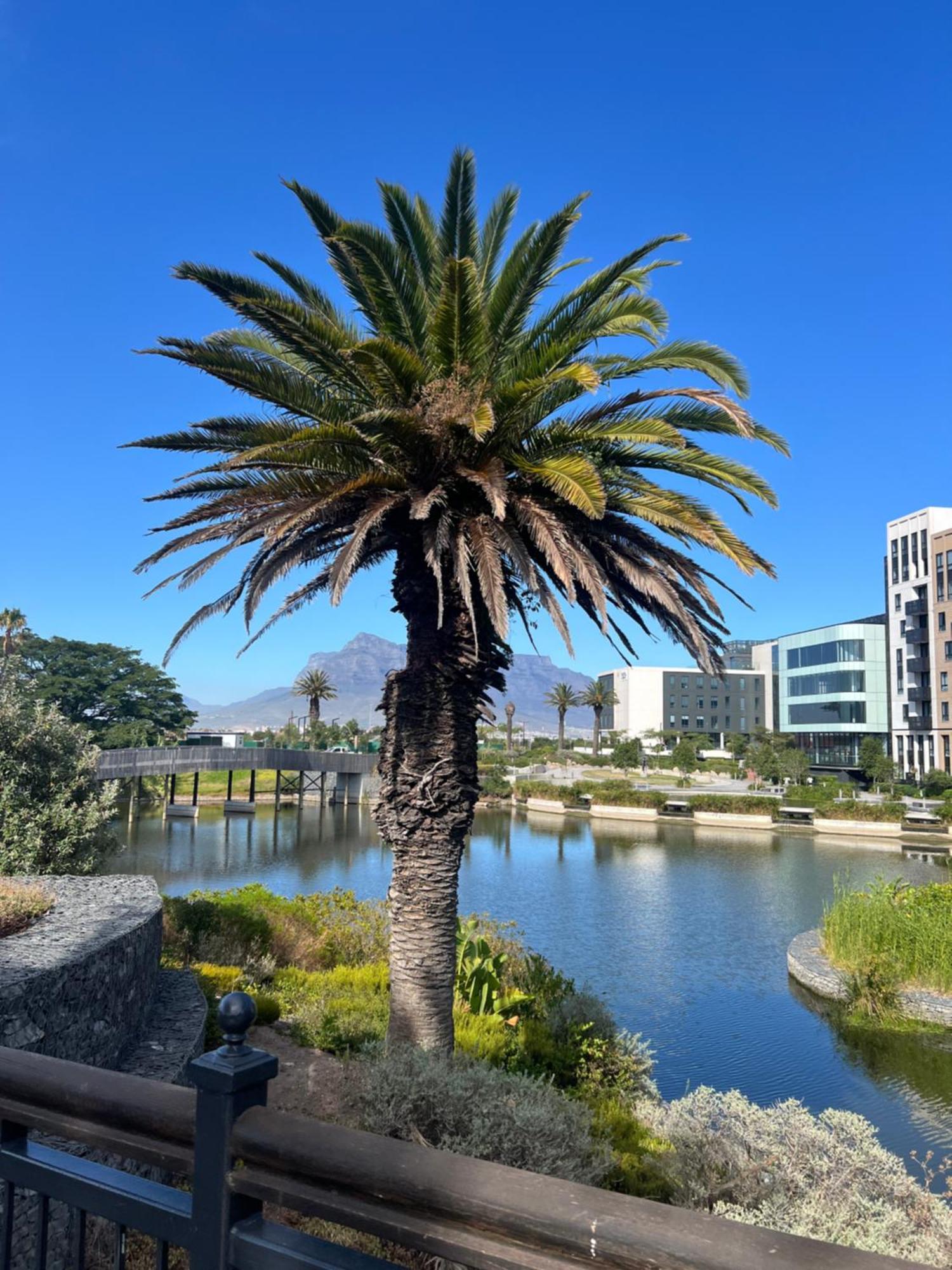 Apartment Bridgewater Cape Town
